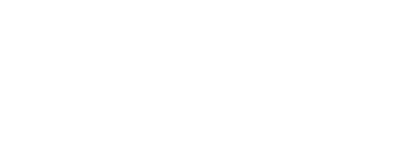 logo Brummell